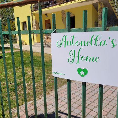 Antonella'S Home Cavallino-Treporti Ngoại thất bức ảnh